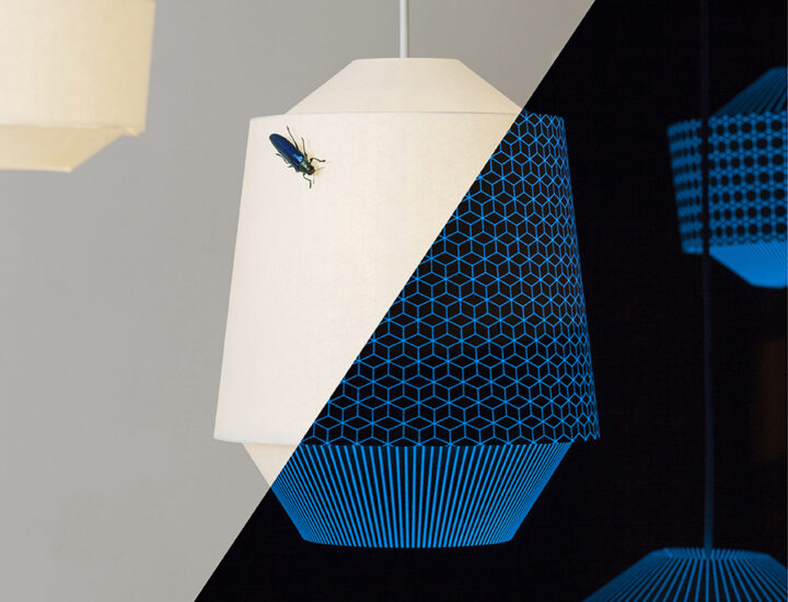 Assembli | Loena Lantern